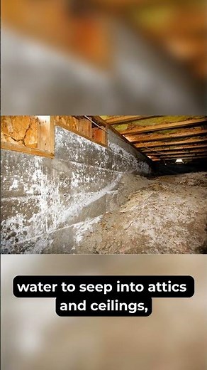 Common Causes of Mold in Homes