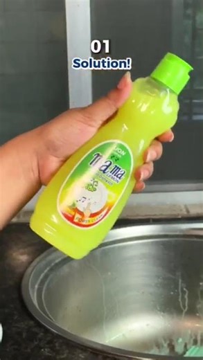 One perfect solution for all dish gusting problems