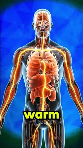 The Ultimate Peaches and Cream Smoothie: High-Protein & Probiotic Recipes for Better Digestion