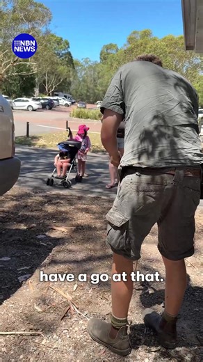 A coastal carpet python has remarkably travelled almost 1,000km from Toowoomba in Queensland to the NSW Central Coast after perching on a car's fuel tank. #9News | 9 News