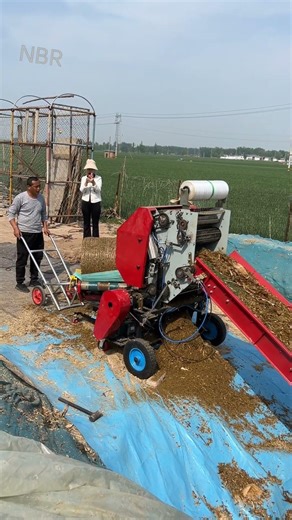 #Agricultural Machinery#Farm Machinery#Silage Feed#Potato Harvesting Equipment