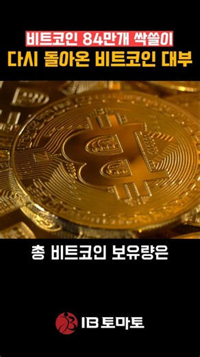 비트코인 84만개 싹쓸이! 다시 돌아온 비트코인 대부