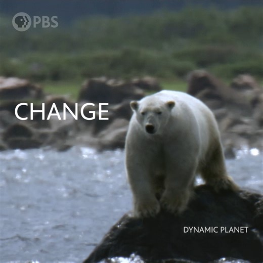 April is Earth Month! Celebrate with PBS by streaming popular shows about our climate and environment. Stream now at -https://video.wpbt2.org/explore/climate/ | WPBT2 South Florida PBS | Facebook
