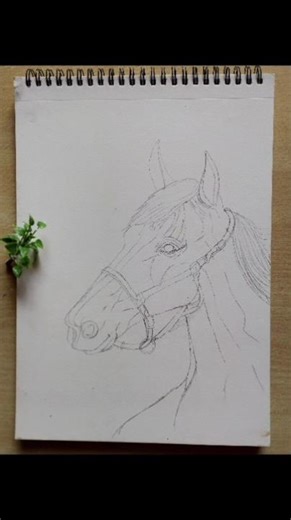 1. Easy Horse Outline Drawing | Beginner Friendly Sketch Tutorial 🐎✏️ #anime #sketchart