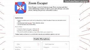 98K views · 401 reactions | Need an excuse to get out of a meeting? This glitch-making Zoom plug-in might just do the trick  | NowThis | Facebook