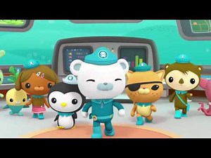 Octonauts: Creature Report - Dolphins