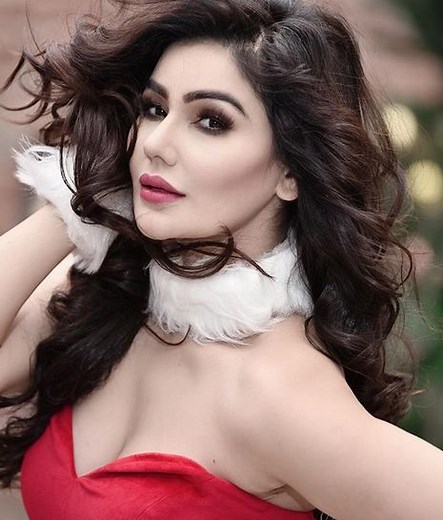 Kangna Sharma Wiki, Age, Height, Boyfriend, Husband, Family, Biography & More - WikiBio