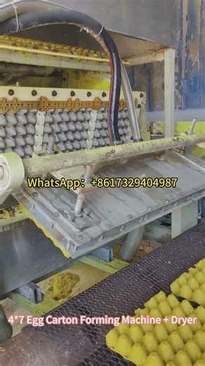 High Efficiency 4×7 Egg Tray Making Machine + Drying System | Fully Automatic Production Line 🥚