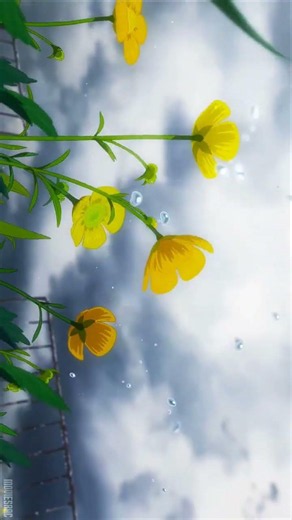 ☔ Weathering With You 🌤️❤️📅 2019 • 🎭 Romance Fantasy • ⏱️ 1h 52m📖 StorylineIn a rain soaked