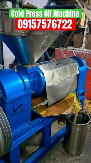 Cold Press Oil Machine 2025 | Pure Oil Extraction Business Idea | Small Scale Oil Machine Demo