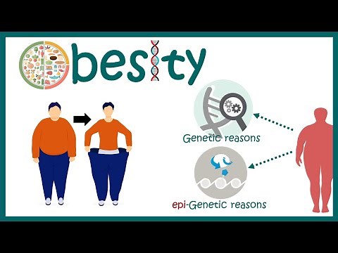 Obesity | Causes of Obesity | Diagnosis and Treatment of Obesity | Obesity treatment