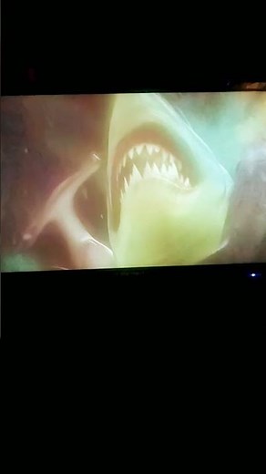 Finding Nemo Bruce Vincent