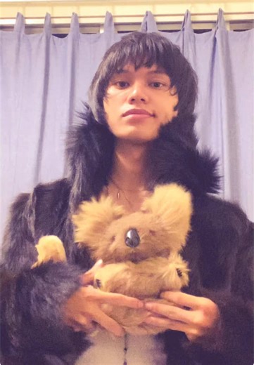 Collecting Real Fur Koala Bear Figures