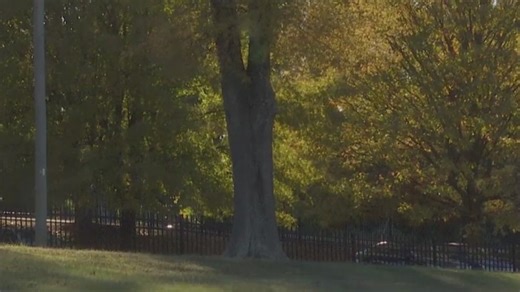 Developer pulls plans for Happy Hill development