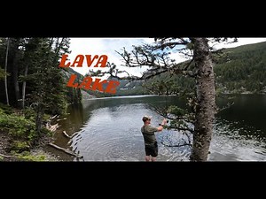 MONTANA LAVA LAKE RAINBOW TROUT