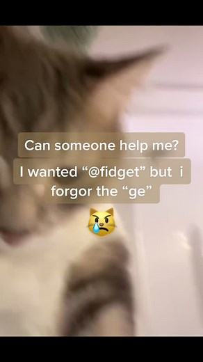 Changing My Name Back to @/fidget 😾
