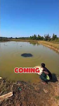 Unbelievable Black Water Mystery Turns Into Shocking Fish Discovery! 🐟😱