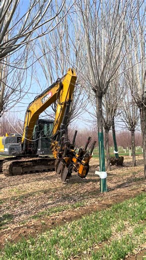 Choose Changqing for tree transplanting. Complete root ball, root-friendly, efficient and stable! #ChangqingTreeSpade #TreeTransplantMachine #NurseryTreeMoving #TreeSpadeManufacturer #LandscapingMachinery