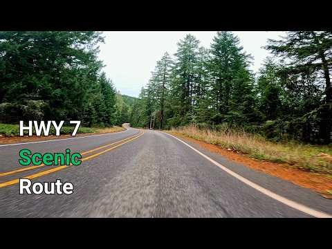 Highway 7 Scenic Drive in Washington: The Nisqually River Route