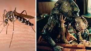 Les insectes peuvent-ils devenir géants comme dans les films ? Les scientifiques répondent enfin !
