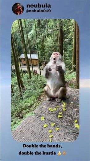 Double the hands, double the hustle 🍌🐒#shorts #viral #funny