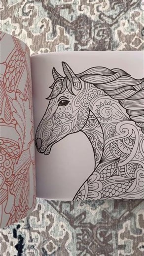 Which Coloring Page Would You Pick First? #adultcolorbook #coloringbook