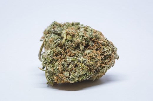 Punch Breath | Marijuana Strain Reviews