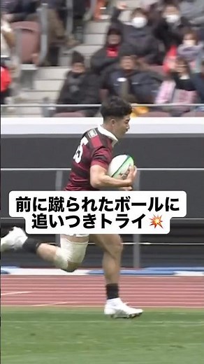 キックパスに反応して、早稲田大学矢崎由高選手がトライ🏉 #大学ラグビー