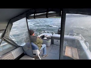 Pikeminnow Sport-Reward 2021