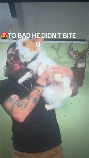 ❌️MITCHELL❌️ (@mitchell.tillemmm)’s videos with original sound - ❌️MITCHELL❌️