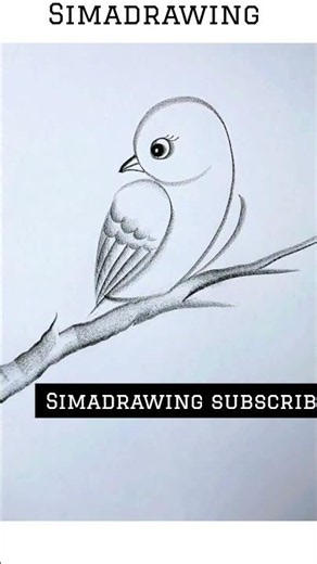 Cute Bird Drawing 🐦 Easy Pencil Sketch for Beginners | #Shorts #drawing #art #pencilsketch