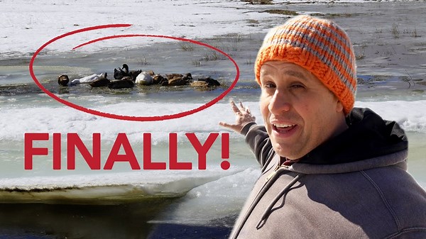 Why Building a Duck Pond Took Nine Long Months