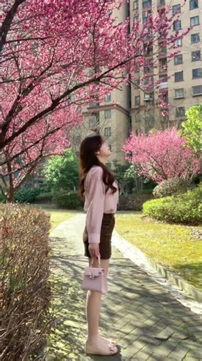 Discover Spring's Magic Ceiling