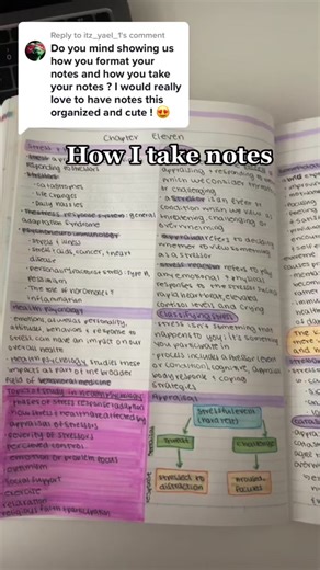 Effective Psychology Note-Taking Strategies