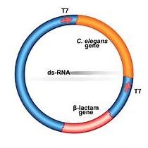Video: Protein Expression, Crystallization, and X-Ray Diffraction