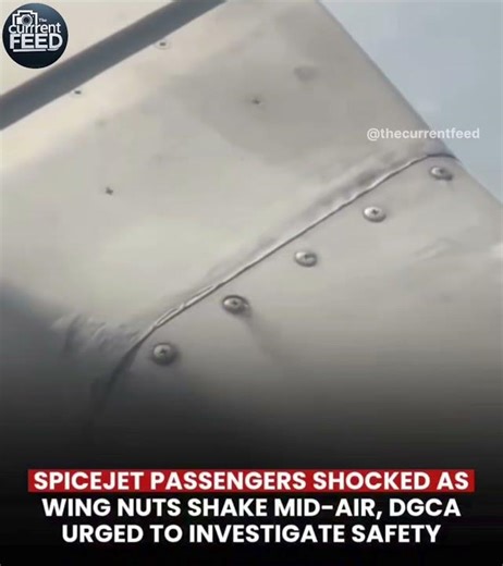 SpiceJet shock: Wing nuts shake mid-air DGCA probe urged #SpiceJet #AviationSafety #shorts #trending