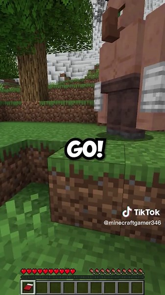 Meet the Minecraft Villager Brute - New Defender in Town!