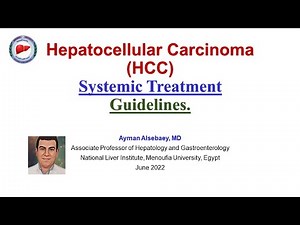 HCC Systemic Treatment Guidelines