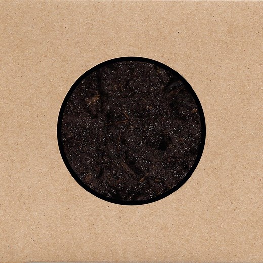 Swans :: „Birthing“