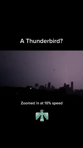 What is it? #thunderbird #thunder #lightning #rain #indigenoustiktok #indigenous #native #nativetiktok #creature #sky #storm #nature #flying #alien