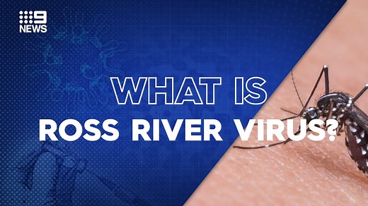 What is Ross River virus?