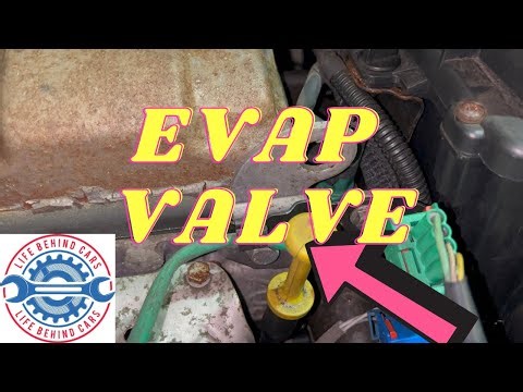 Citroen C3 2008 Petrol EVAP Valve Location
