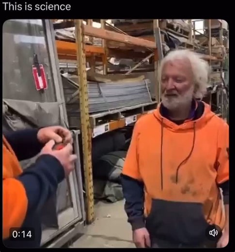 @tuxiia on Instagram: "Harold was no ordinary pigeon. While the rest of his flock was busy pooping on statues and stealing fries, Harold spent his afternoons reading law books through the window of the downtown library. One day, while dive-bombing a hot dog cart (as one does), Harold collided with a newly installed anti-bird net. Not only did it ruin his beak, but it shattered his pride. “That’s it!” he squawked, dragging his wing dramatically. “I’m suing the city for defamation and emotional di