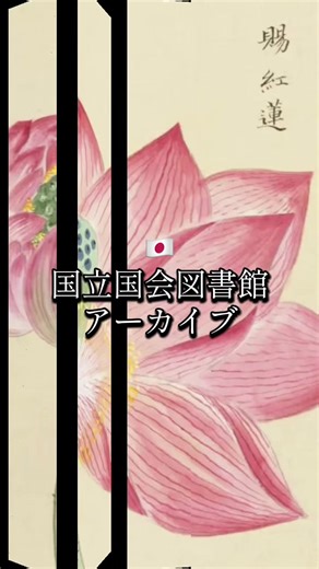 🇯🇵 National Diet Library Digital Archives The archives of the National Diet Library hold the very breath of Japan’s history and culture. The quiet of turning a page, the atmosphere captured in old newspapers, the expressions frozen in photographs—each continues to live on in digital form, speaking gently across time. #NationalDietLibrary #NDL #Archives #JapaneseHistory #JapaneseCulture