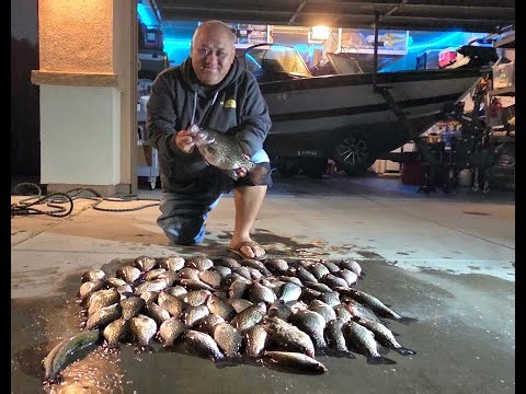 Live scope is Cheating! Limit Out at Lake Kaweah