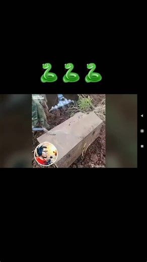 Setting Up Animal Capture Traps Outdoors