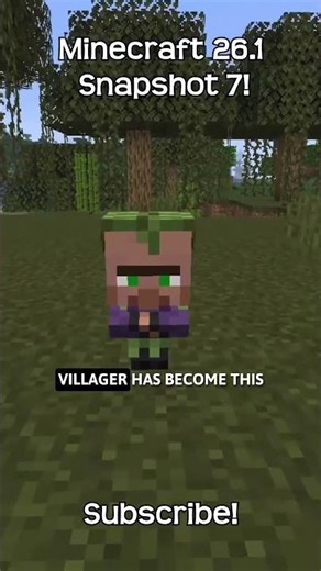 The New Swamp Baby Villager In Minecraft!