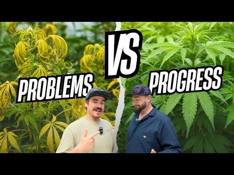Indoor Problems, Greenhouse Progress | Behind the Grow