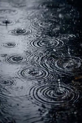 Rain in Puddle Noise for Sleep & Relaxation
