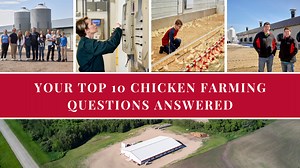 YOUR TOP 10 CHICKEN FARMING QUESTIONS ANSWERED - Manitoba Chicken